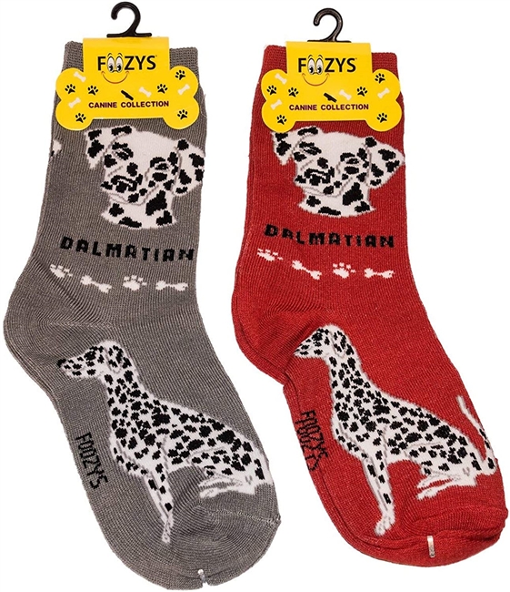Dalmation