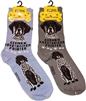 German Shorthaired Pointer