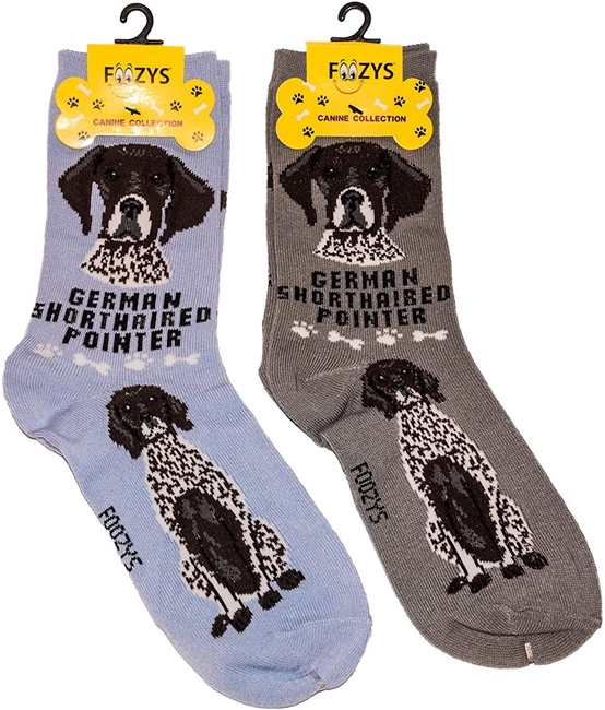 German Shorthaired Pointer