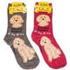 Golden Doodle