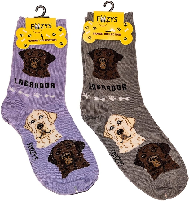 Labrador