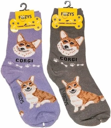 Corgi