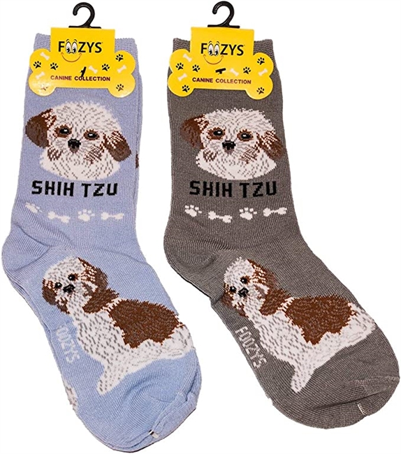 Shih Tzu