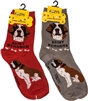 St Bernard