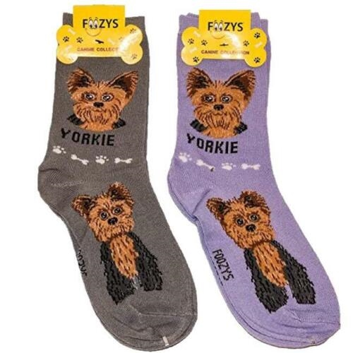 Yorkie