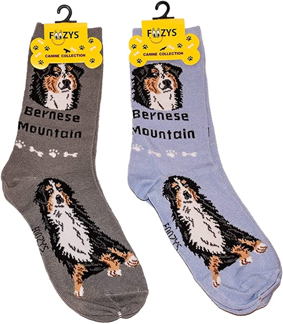 Bernese Mountain