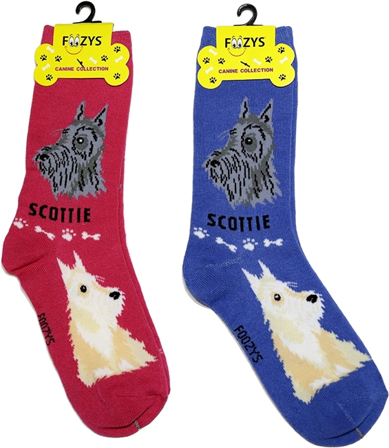Scottie