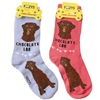Chocolate Lab