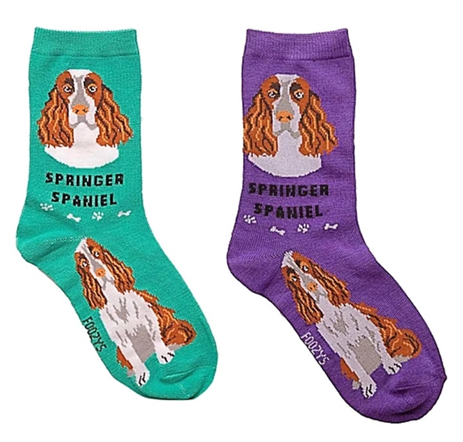 Springer Spaniel