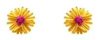 Raffia Post Earrings