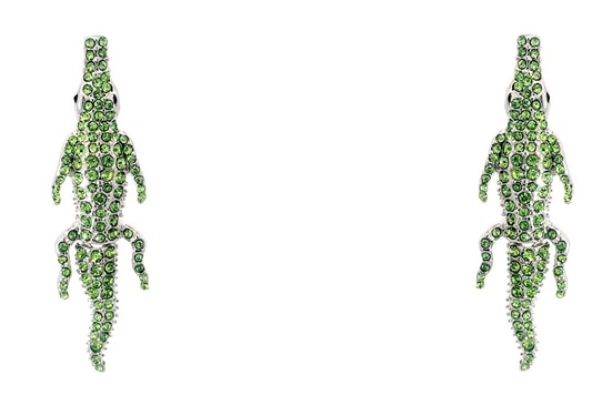 Alligator