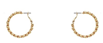 Twisted Pincatch Hoop Earrings