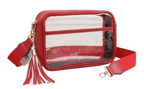 Clear Handbag  W/Tassel