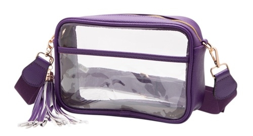 Clear Handbag  W/Tassel
