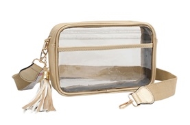 Clear Handbag  W/Tassel