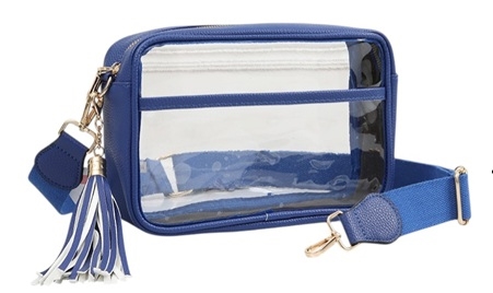 Clear Handbag  W/Tassel