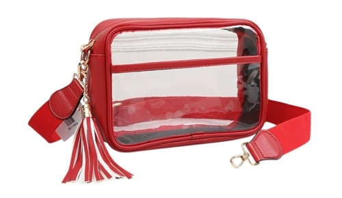 Clear Handbag  W/Tassel