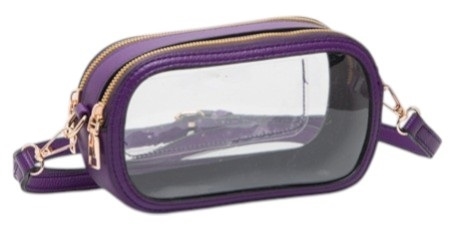 Clear Oblong Handbag