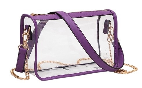 Clear Game Day Bag