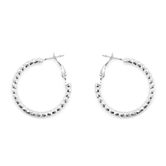 Hoop Earrings