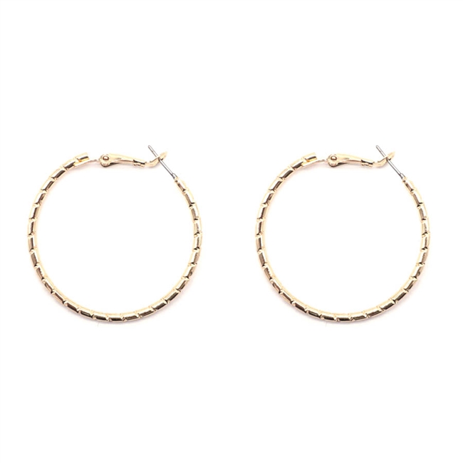 Hoop Earrings