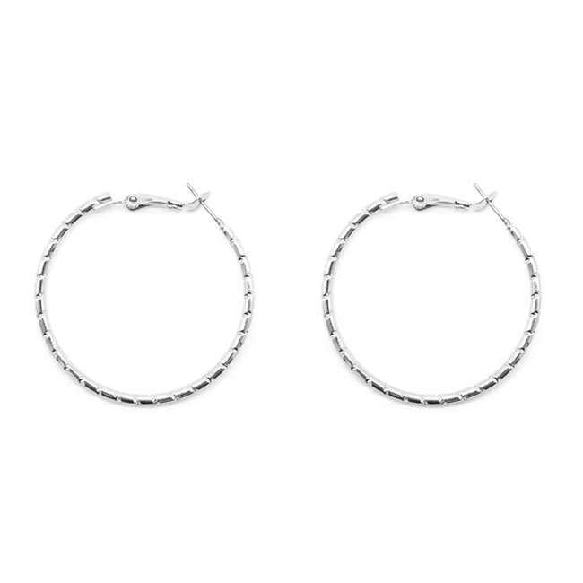 Hoop Earrings