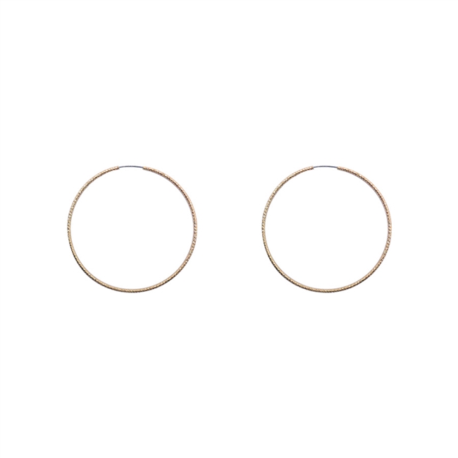Hoop Earrings