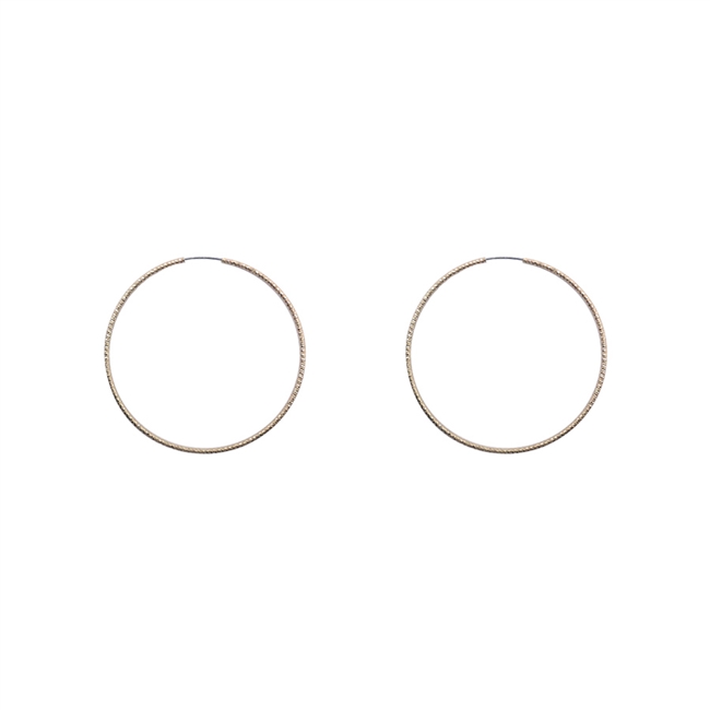 Hoop Earrings
