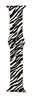 Apple Watch Band