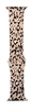 Apple Watch Band