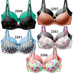 Wholesale Plus size 2 Pack bra with printed and solid microfiber push-up