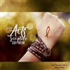 Acts: Scripture Study Portion 2-Disc Cd Set