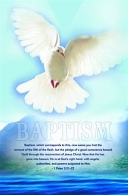 Pkg.100 Baptism Bulletins. Save 50%.