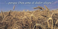 Spanish Wheat Field Offering Envelope - 2 Corinthians 9:7 (RVR 1960)-SAVE 50%.