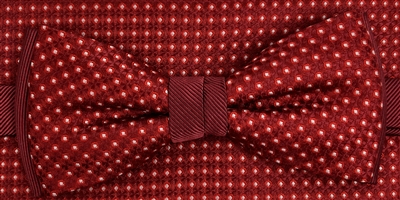 Bow & pocket square