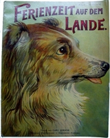 Antiquarian German pop-up book Ferienzeit auf dem Lande, circa 1899, published by Carl Hirsch. Features an intricately layered farm scene with cows, ducks, chickens, and pigsâ€”German edition of Dean & Son's On the Farm from their Scenic Series.