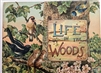 Raphael  Tuck - Life In The Woods - movable panorama lift up cover and pull up die cut figures - very scarce title