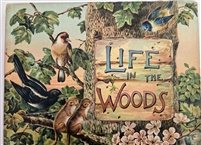 Raphael Tuck â€“ Life In The Woods

Panorama with a liftable flap on cover and die cut figures inside â€“ Quite Scarce