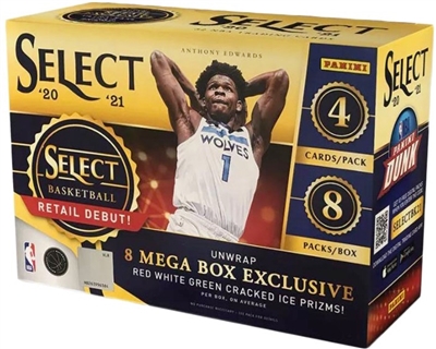 PAP 2020-21 Select Basketball Mega Pack #10