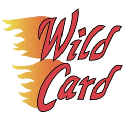 PAP 2021 Wild Card Matte Silver Mega Box Pack #11