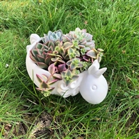 Unicorn Bowl To Go Pack $35