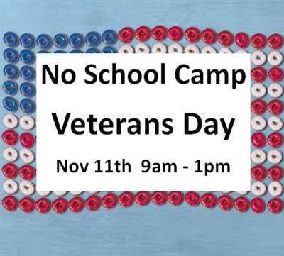 Veterans Day Camp Nov 11th