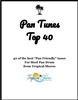 Pan Tunes Top 40 (downloadable)