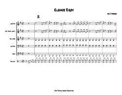 Eleanor Rigby PanPlay arrangement