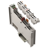 WAGO: I/O MODULE 2 ANALOG 0-10V (753-478)