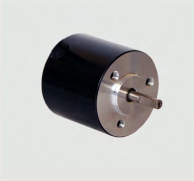 Transmotec Brushless DC Motors BR2826