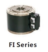 Cyclone DDR Motors: FI-1 Series