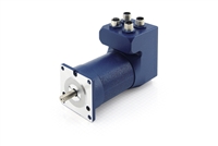 Nanotec: BRUSHLESS DC SERVO MOTOR WITH INTEGRATED CONTROLLER IN PROTECTION CLASS IP65 â€“ NEMA 23