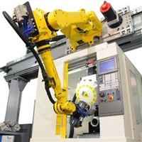 FANUC Toploader Series Robots