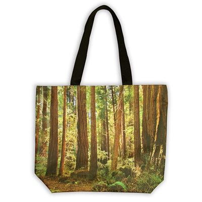 Tote Bag - Walk Among the Redwoods